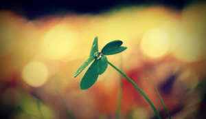 81次，日本国脚伊东纯也本赛季关键传球数领跑法甲，日本伊东市在哪