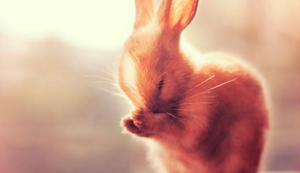 拜仁迎战巴黎圣日尔曼，德法豪门争夺胜利