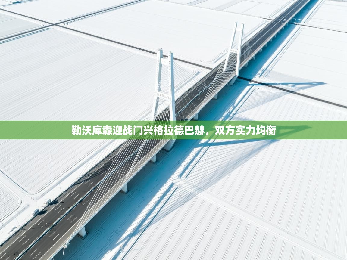 勒沃库森迎战门兴格拉德巴赫，双方实力均衡